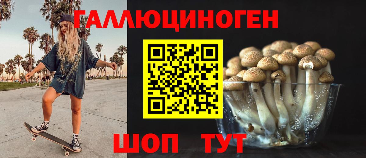Омск  Псилоцибиновые грибы Cubensis  Галлюциногенные грибы GOLDEN TEACHER  Вход с VPN 